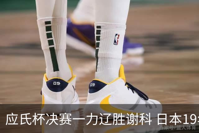 应氏杯决赛一力辽胜谢科 日本19年后重夺世冠